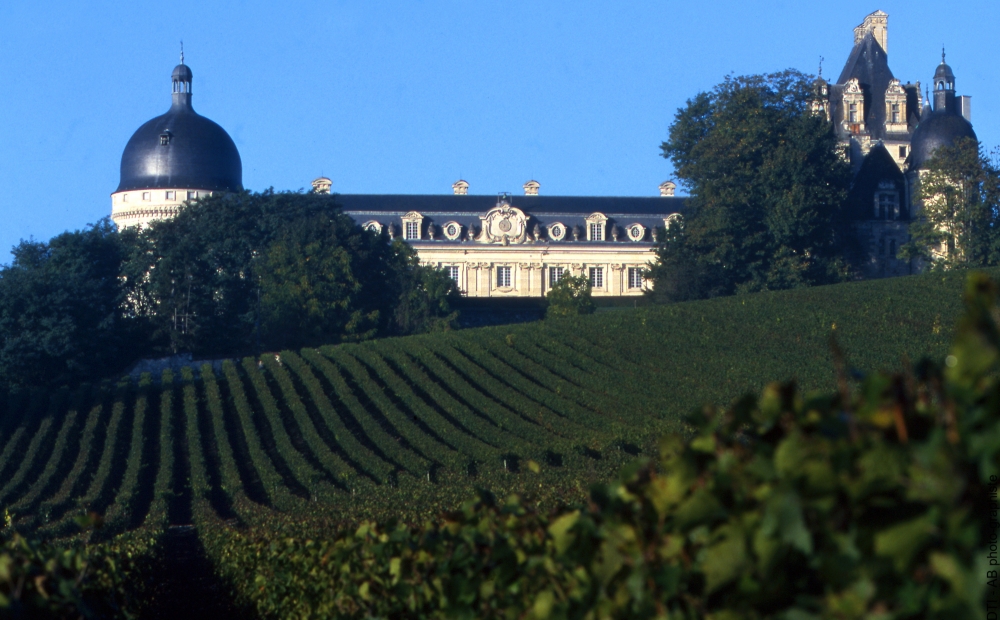 Les vins de Valençay
