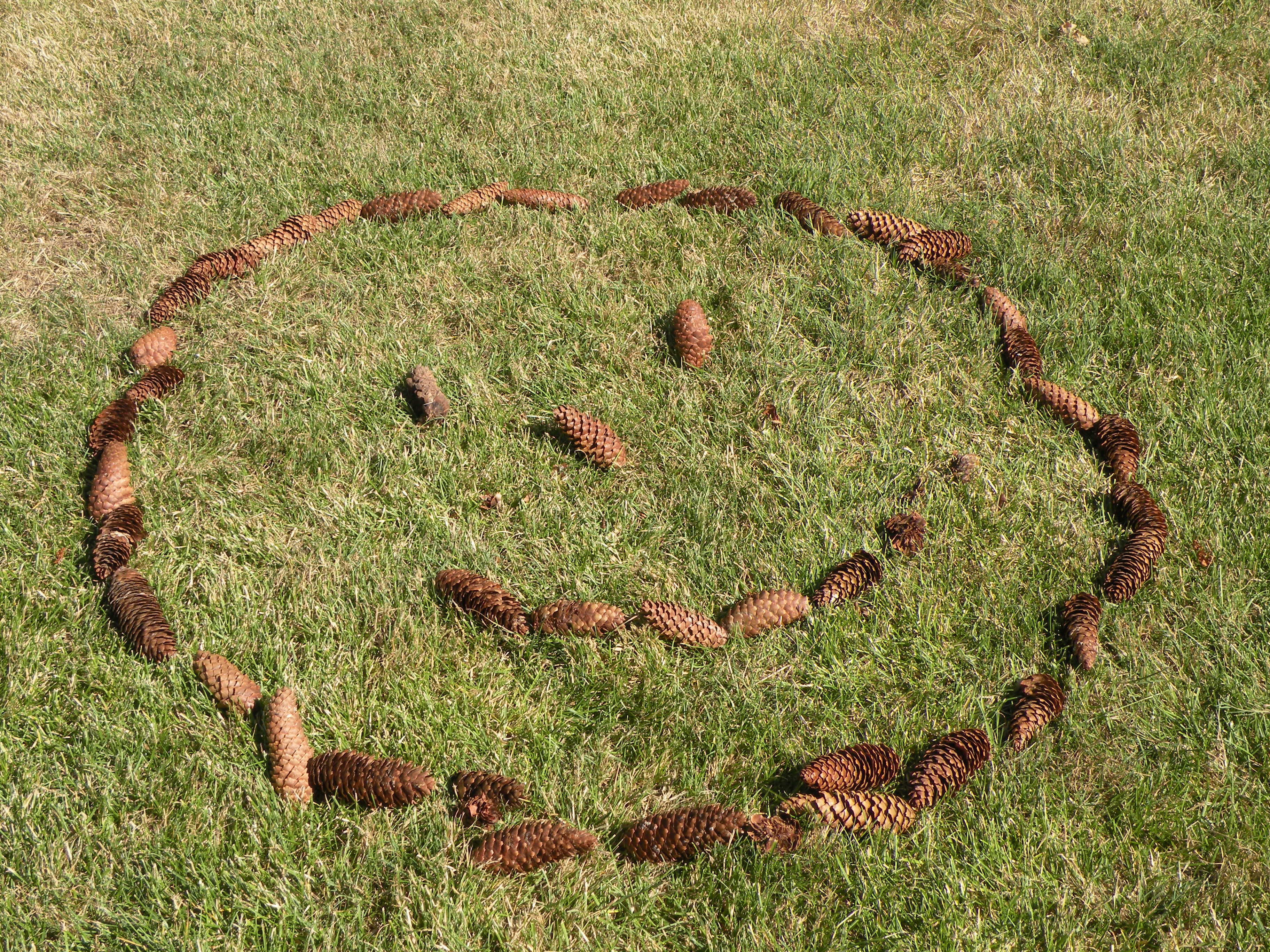 Bienvenue au Clos de La Richaudière entre Val de Loire et Brenne