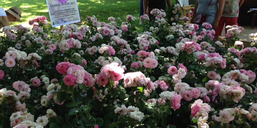 Baptême de la rose Chateau d'Azay le Ferron