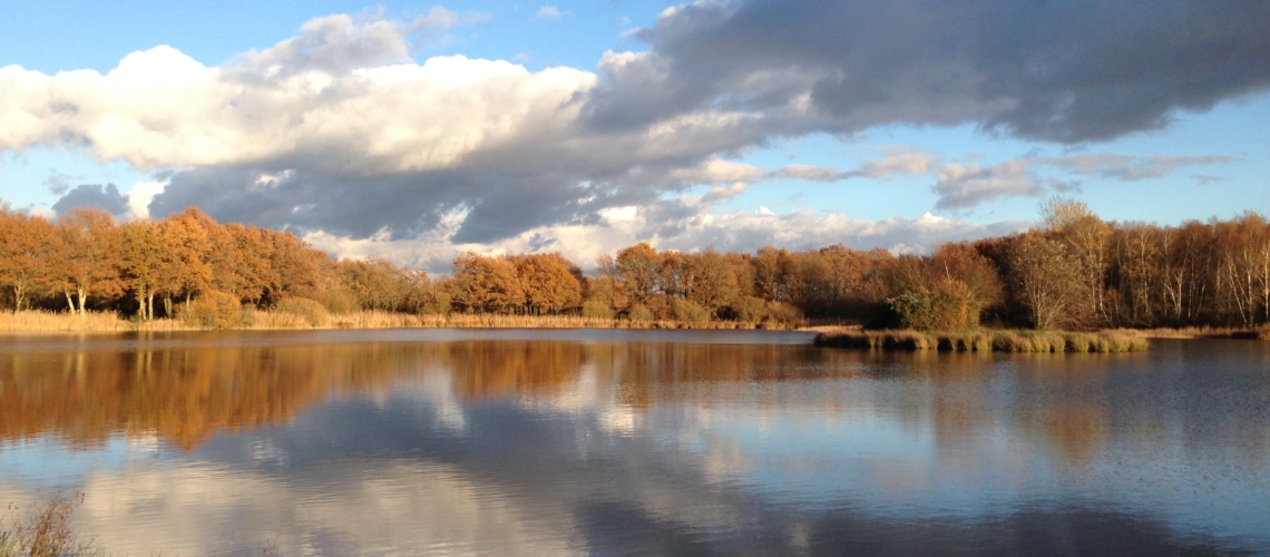 gite piscine beauval loches parc naturel brenne