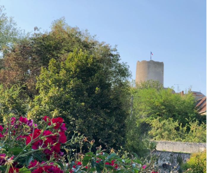 Clos de La Richaudière Luxury Loire Gites Donjon de Châtillon-sur-Indre Crédit photos M&M Van Lul