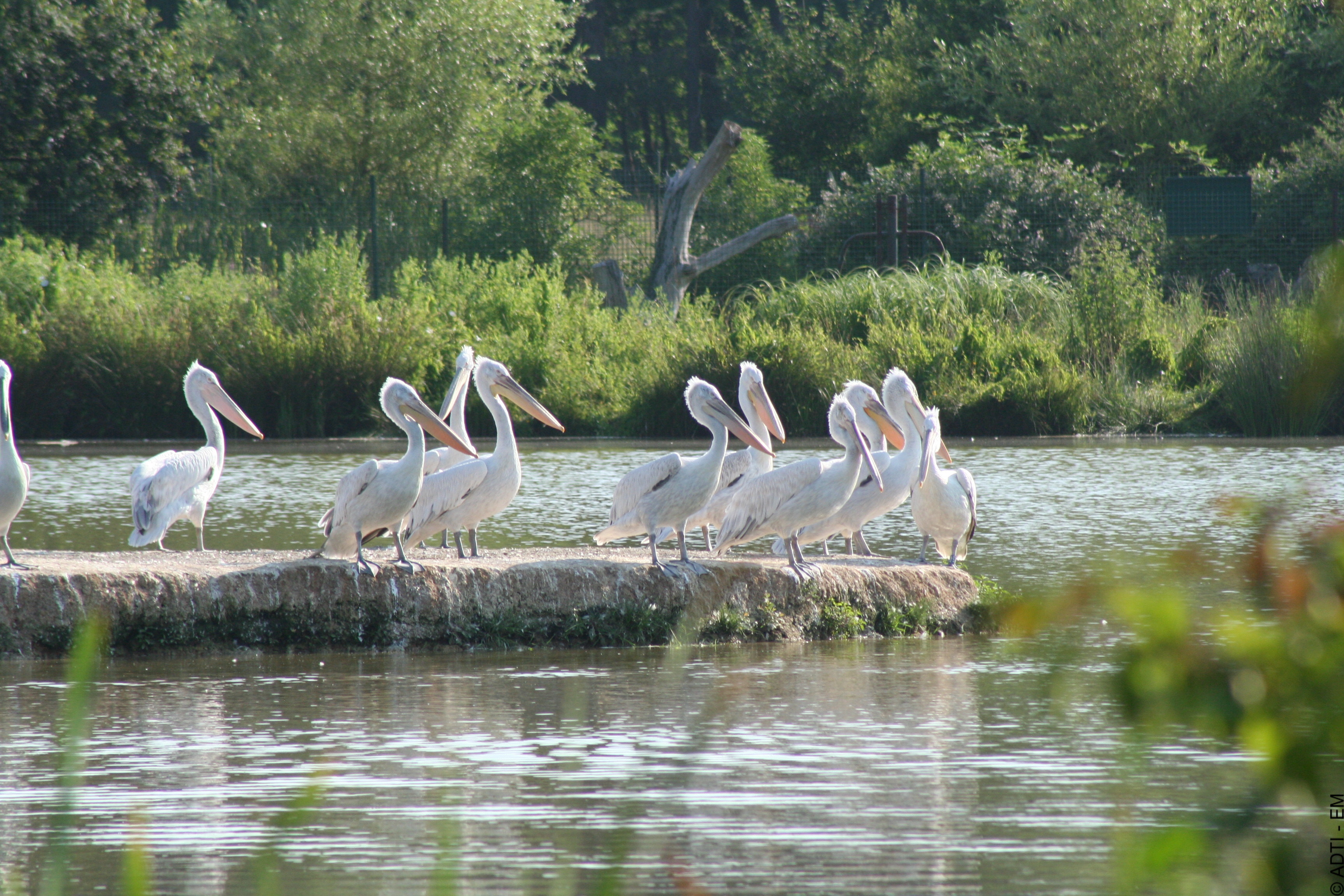 Clos de la Richaudière Luxury Loire Gîtes Les pélicans de la Haute Touche @01.03.2014---Obterre_ADTI_004