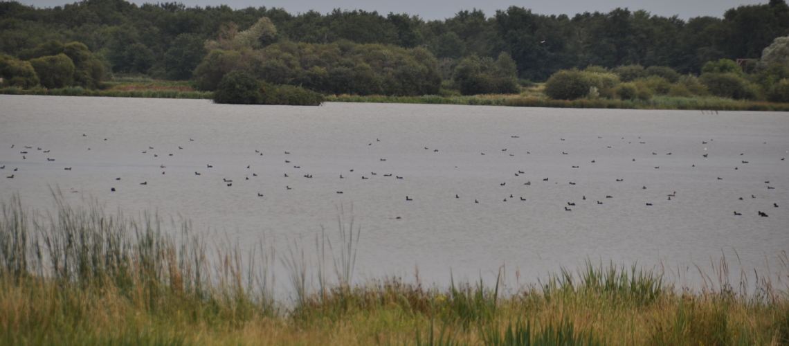 gite piscine beauval loches etang blizon brenne