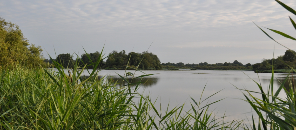 gite piscine beauval loches etang blizon brenne